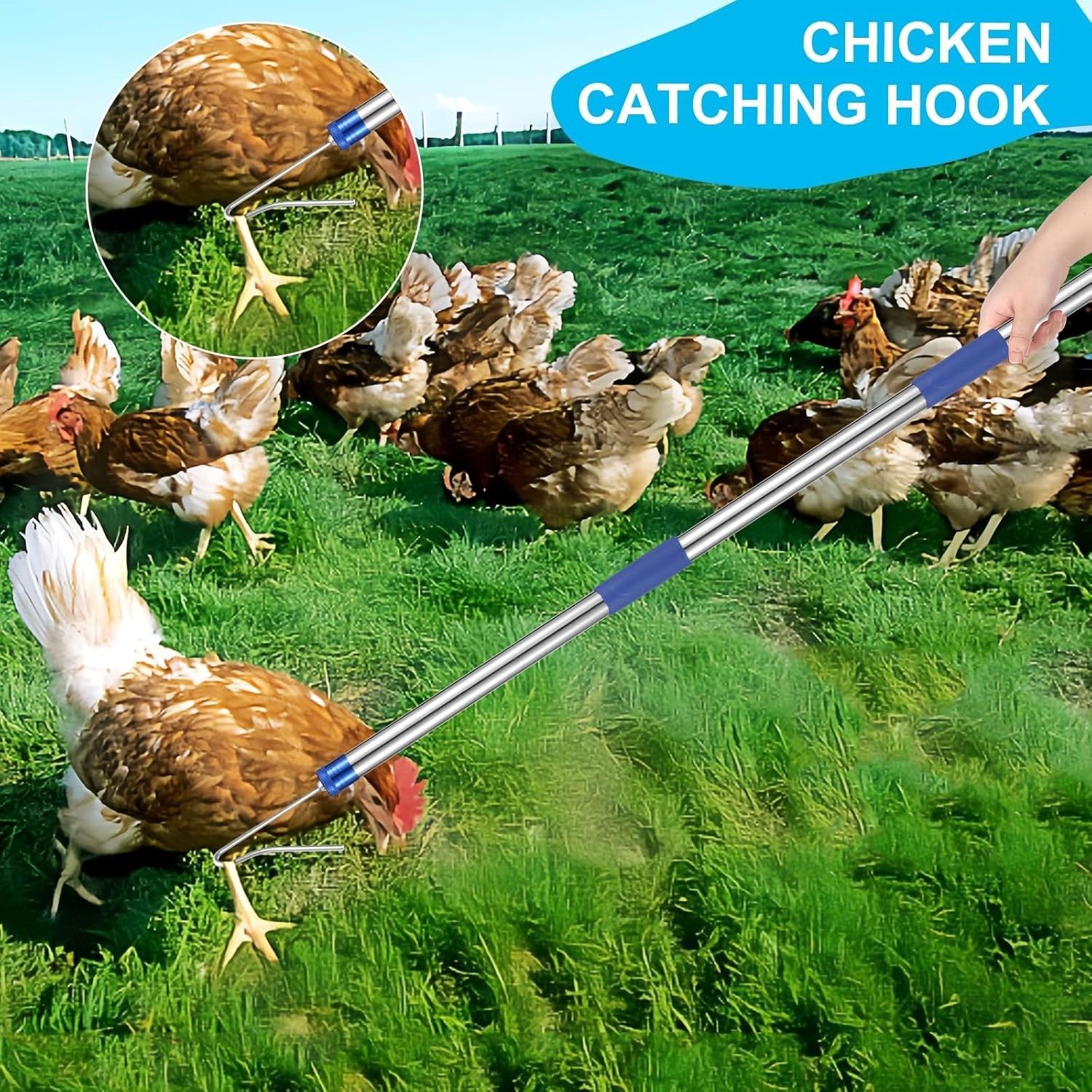 Chicken Catching Net ,Chicken Catcher Leg Hook , Extendable from 33" to 75.5" Ma - Image 8