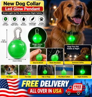 New Dog Collar Led Glow Pendant Green Light Up Pet Accessories Night Safety